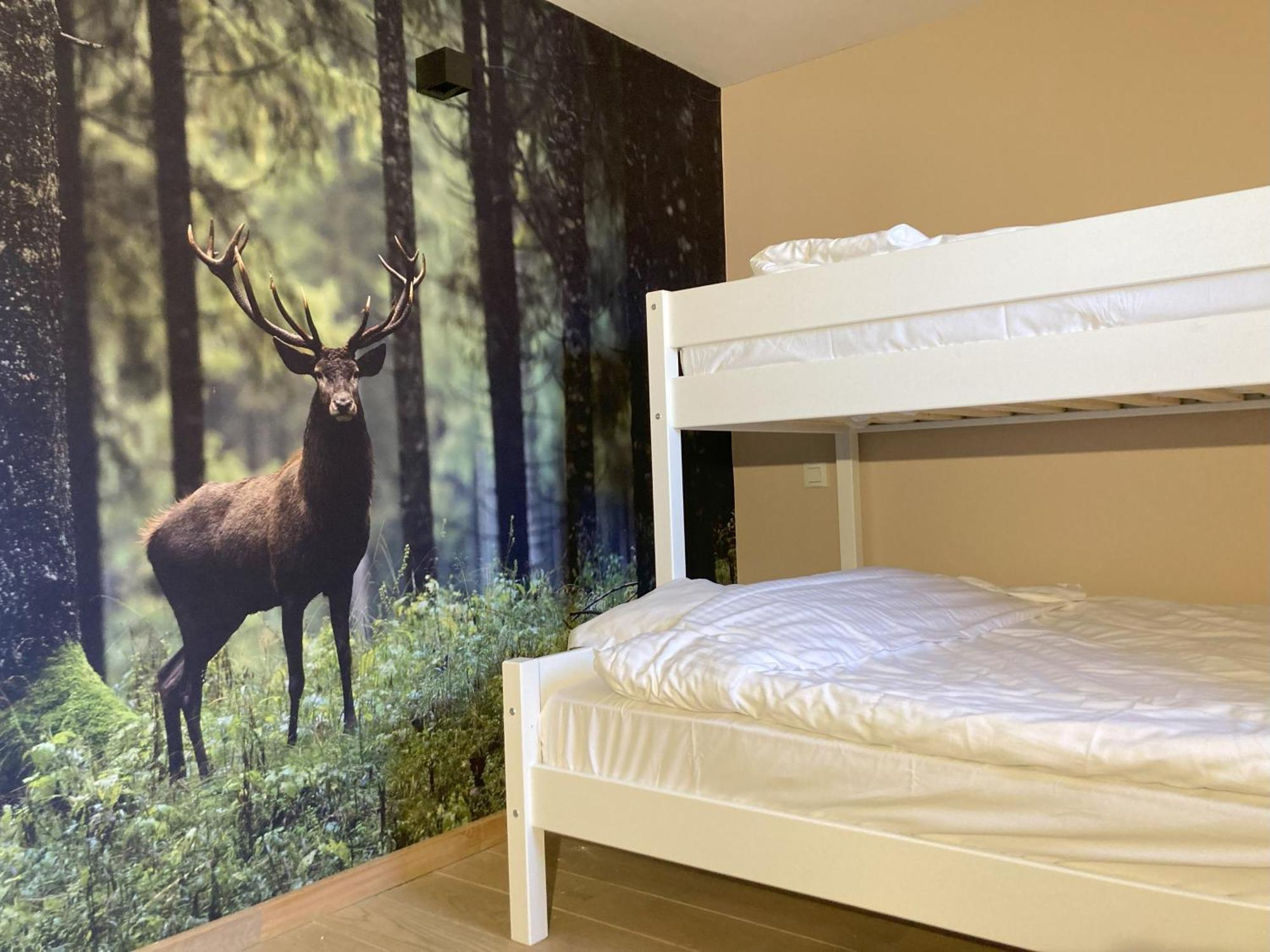 Ma Bauge Bed & Breakfast Libin Екстериор снимка